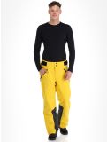 Thumbnail 4F, Trousers Fnk  M343 ski pants men Yellow yellow 