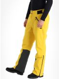 Thumbnail 4F, Trousers Fnk  M343 ski pants men Yellow yellow 