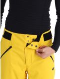 Thumbnail 4F, Trousers Fnk  M343 ski pants men Yellow yellow 