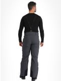 Thumbnail 4F, Trousers Fnk  M402 ski pants men Dark Grey grey 