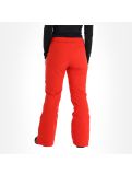 Thumbnail Almgwand, Schusselkopf ski pants women grey, red 