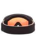 Thumbnail Alpina, Bivio Q goggles unisex Black Gold Matt black, Goud 