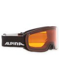 Thumbnail Alpina, Nakiska goggles unisex Black Matt black 