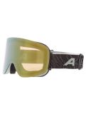 Thumbnail Alpina, Penken Q-Lite goggles unisex Willow Green Matt green 