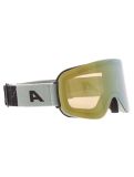 Thumbnail Alpina, Penken Q-Lite goggles unisex Willow Green Matt green 