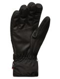 Thumbnail Cairn, Styl 2 M C-Tex ski gloves men Dark Grey Light black, grey 