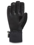 Thumbnail Dakine, Leather Titan Gore-Tex Short ski gloves men Black black 