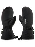 Thumbnail Dakine, Sequoia Gore-Tex mittens women Black black 