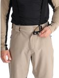 Thumbnail Dare2b, Achieve II ski pants men Clay / Black black, brown 