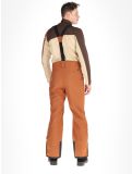 Thumbnail Dare2b, Achieve II ski pants men Mocha Bisque beige 