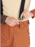 Thumbnail Dare2b, Achieve II ski pants men Mocha Bisque beige 