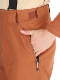 Thumbnail Dare2b, Achieve II ski pants men Mocha Bisque beige 