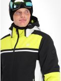 Thumbnail Dare2b, Amplitude ski jacket men Neon Spring/Black black, green 