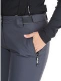 Thumbnail Dare2b, Diminish ski pants women Ebony Grey grey 