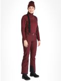 Thumbnail Dare2b, Diminish ski pants women Fig purple 