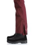 Thumbnail Dare2b, Diminish ski pants women Fig purple 