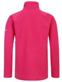 Thumbnail Dare2b, Freehand pullover kids Pure Pink pink 