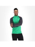 Thumbnail Dare2b, Interfused Ii pullover men vivid green