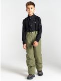 Thumbnail Dare2b, Outmove II ski pants kids Olivine Green green 