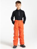 Thumbnail Dare2b, Outmove II ski pants kids Orange Rust orange 