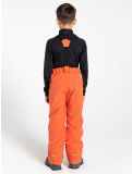 Thumbnail Dare2b, Outmove II ski pants kids Orange Rust orange 