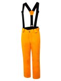 Thumbnail Dare2b, Outmove II ski pants kids PuffinsOrnge black, orange 