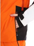 Thumbnail Dare2b, Shred ski jacket men Puffins Orange / Rooibos Tea burgundy, orange 