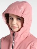 Thumbnail Dare2b, Steazy III ski jacket kids Dusty Rose / Olivine Green / Crystal Rose green, pink 