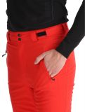 Thumbnail Degre7, Aglo ski pants men True Red red 