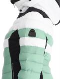 Thumbnail Head, Immensity ski jacket women Nile Green green 