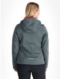 Thumbnail Icepeak, Boise softshell ski jacket women Green green 