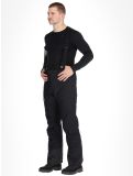 Thumbnail Icepeak, Farley hardshell ski pants men Black black 