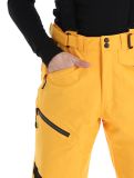 Thumbnail Icepeak, Ferrara ski pants men Yellow yellow 