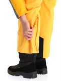 Thumbnail Icepeak, Freiberg ski pants men Yellow yellow 