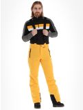 Thumbnail Icepeak, Freiberg ski pants long model men Yellow yellow 