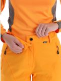 Thumbnail Icepeak, Freyung ski pants women Abricot orange 