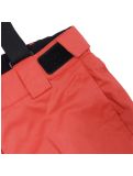 Thumbnail Icepeak, Lorena Jr ski pants kids Cranberry red 