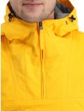 Thumbnail Napapijri, Rainforest Winter 3 (2022/2023) winter anorak men ray yellow 