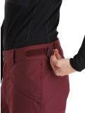 Thumbnail O'Neill, Hammer ski pants men Windsor Wine burgundy 