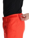 Thumbnail O'Neill, Hammer Regular Snow ski pants men Paprika Flame orange 