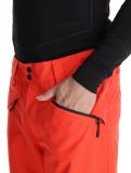 Thumbnail O'Neill, Hammer Regular Snow ski pants men Paprika Flame orange 