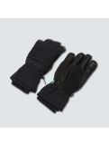 Thumbnail Oakley, B1B ski gloves unisex Blackout black 