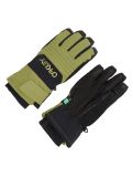 Thumbnail Oakley, B1B ski gloves unisex Fern green 