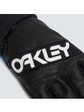 Thumbnail Oakley, Factory Winter Gloves 2.0 ski gloves unisex Blackout black 