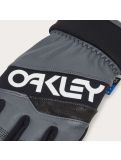 Thumbnail Oakley, Factory Winter Gloves 2.0 ski gloves unisex Uniform Grey/White grey, white 