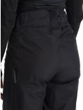 Thumbnail Peak Performance, W Gravity Gore-Tex 3L hardshell ski pants women Black black 