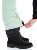 Thumbnail Peak Performance, W Insulated Ski ski pants women Delta Green green 