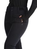 Thumbnail Peak Performance, W Shred 2L ski pants women Black black 