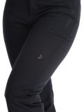 Thumbnail Peak Performance, W Shred 2L ski pants women Black black 