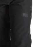 Thumbnail Picture, Object ski pants men Black black 